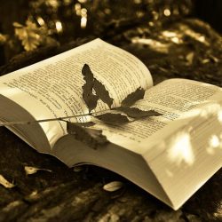 Favourite 20th Century Readings - Semester 1