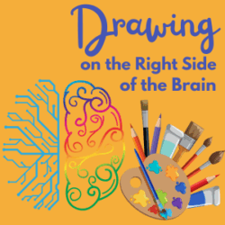 Drawing on the Right Side of the Brain (term 2) - Semester 1