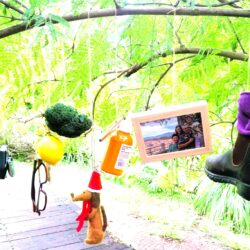 Your Artistry (term 1) - Semester 1